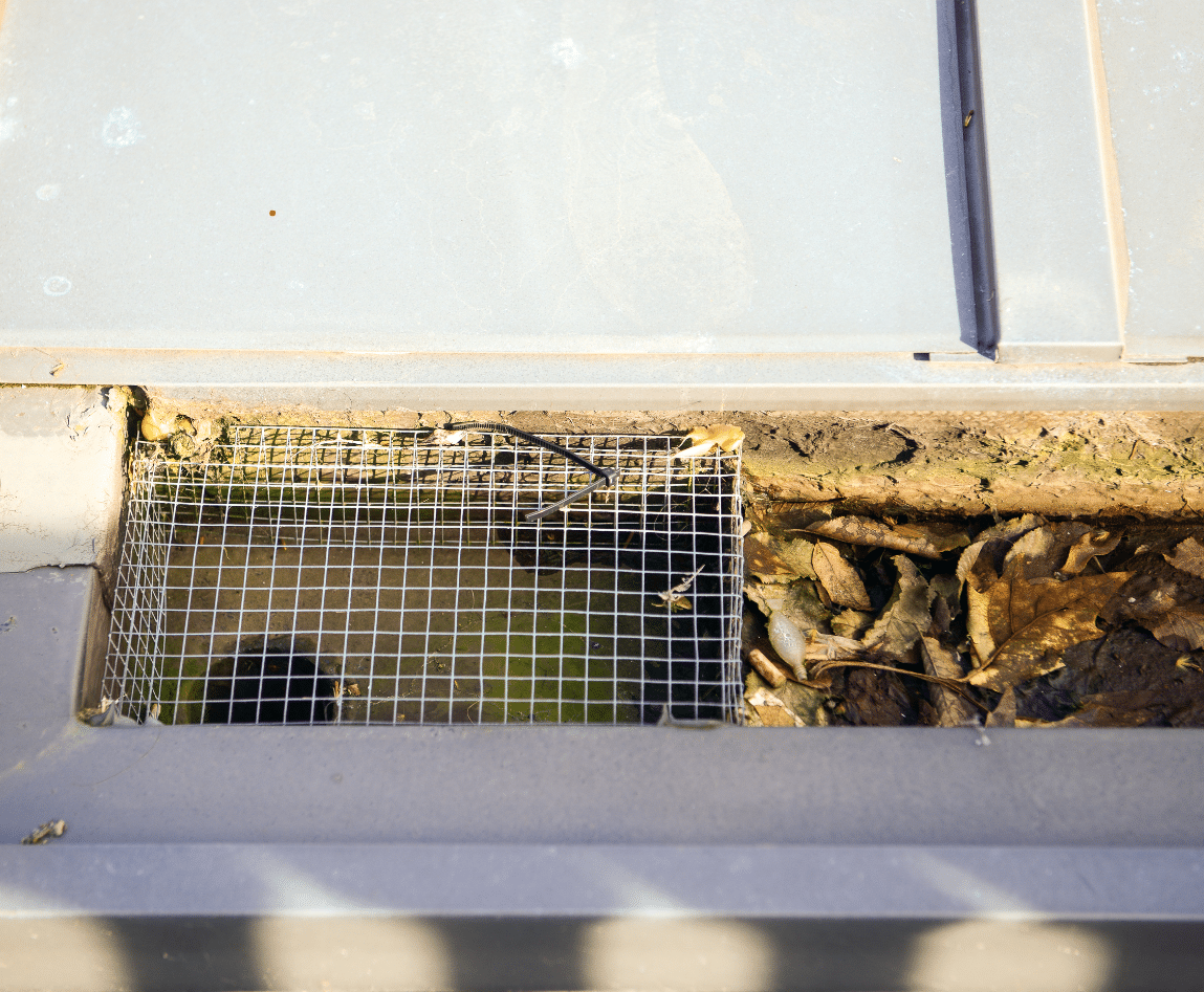 Foam gutter insert installed in gutter